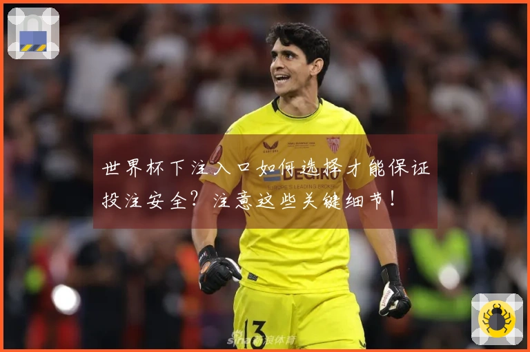 世界杯下注入口如何选择才能保证投注安全？注意这些关键细节！