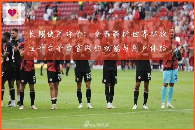 长期使用评价：全面解析世界杯投注平台平台官网的功能与用户体验