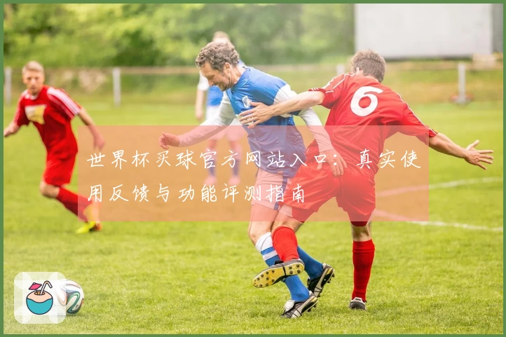 世界杯买球官方网站入口：真实使用反馈与功能评测指南