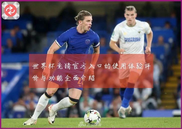 世界杯竞猜官方入口的使用体验评价与功能全面介绍