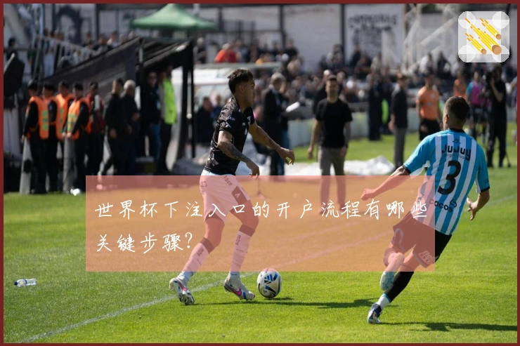 世界杯下注入口的开户流程有哪些关键步骤?