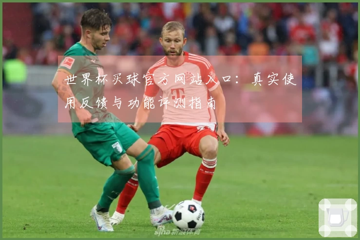 世界杯买球官方网站入口：真实使用反馈与功能评测指南