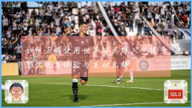 如何正确使用世界杯买球入口提升您的观看体验与互动乐趣