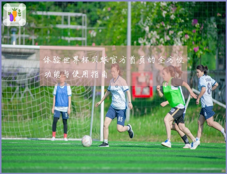 体验世界杯买球官方首页的全方位功能与使用指南