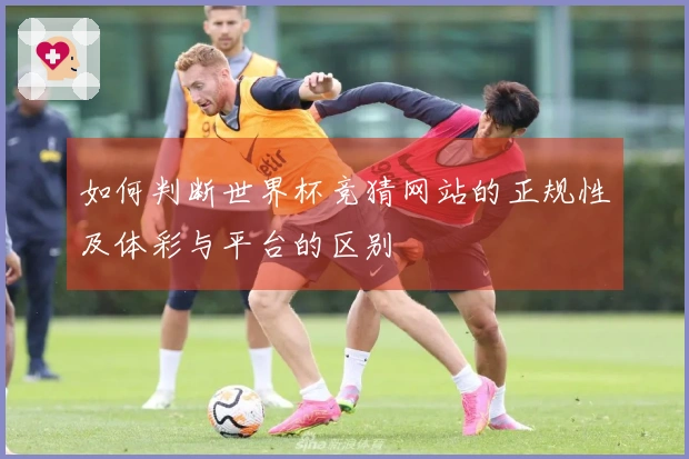 如何判断世界杯竞猜网站的正规性及体彩与平台的区别