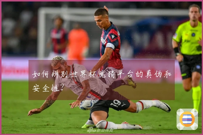 如何辨别世界杯竞猜平台的真伪和安全性？