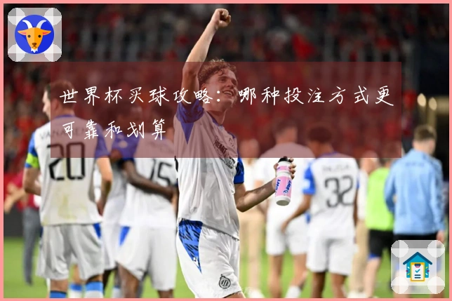世界杯买球攻略：哪种投注方式更可靠和划算