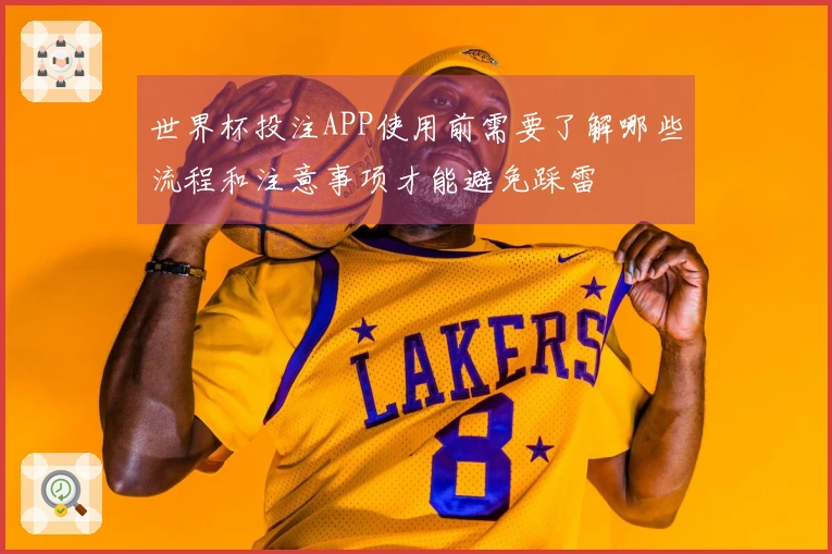 世界杯投注APP使用前需要了解哪些流程和注意事项才能避免踩雷