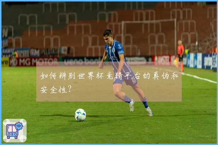 如何辨别世界杯竞猜平台的真伪和安全性？