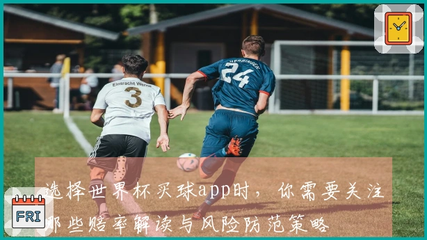 选择世界杯买球app时，你需要关注哪些赔率解读与风险防范策略