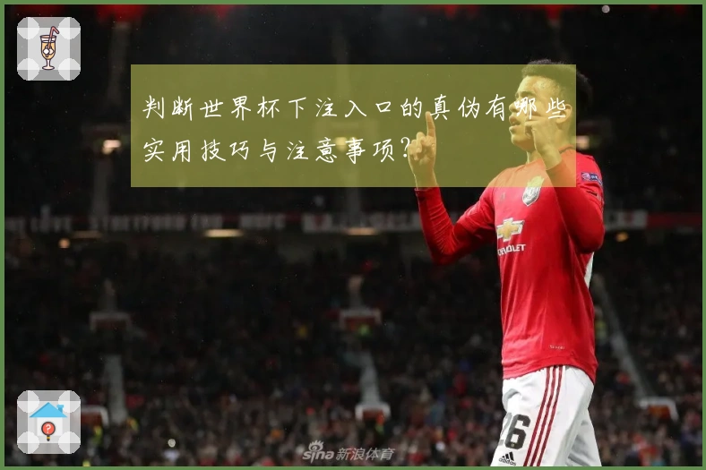 判断世界杯下注入口的真伪有哪些实用技巧与注意事项？