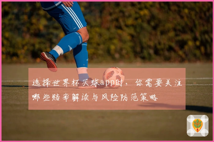 选择世界杯买球app时,你需要关注哪些赔率解读与风险防范策略