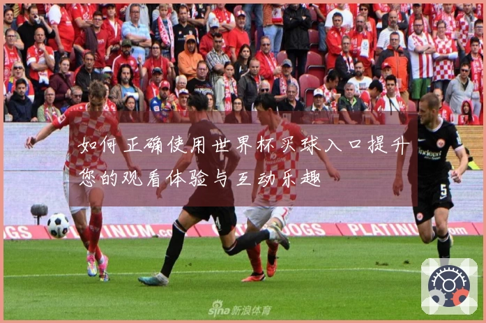 如何正确使用世界杯买球入口提升您的观看体验与互动乐趣