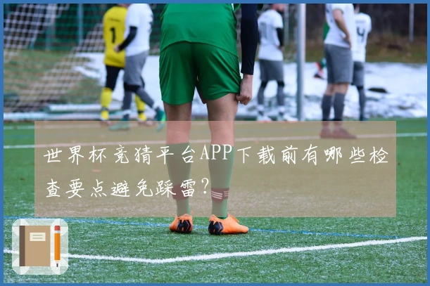 世界杯竞猜平台APP下载前有哪些检查要点避免踩雷?