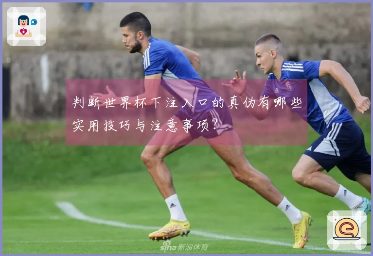 判断世界杯下注入口的真伪有哪些实用技巧与注意事项？